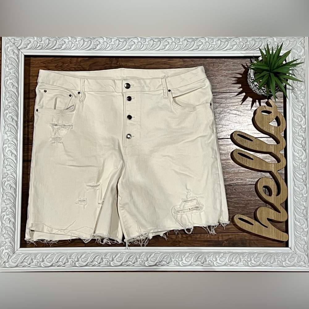 Time and Tru Shorts